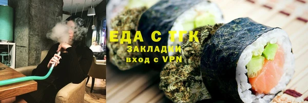 хмурый Алексин