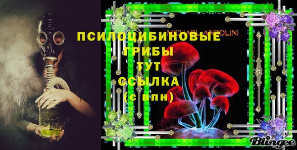 хмурый Алексеевка